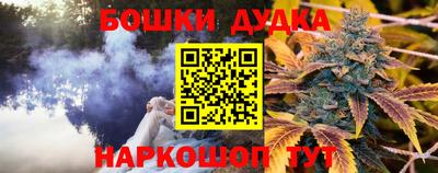 спиды Волгодонск